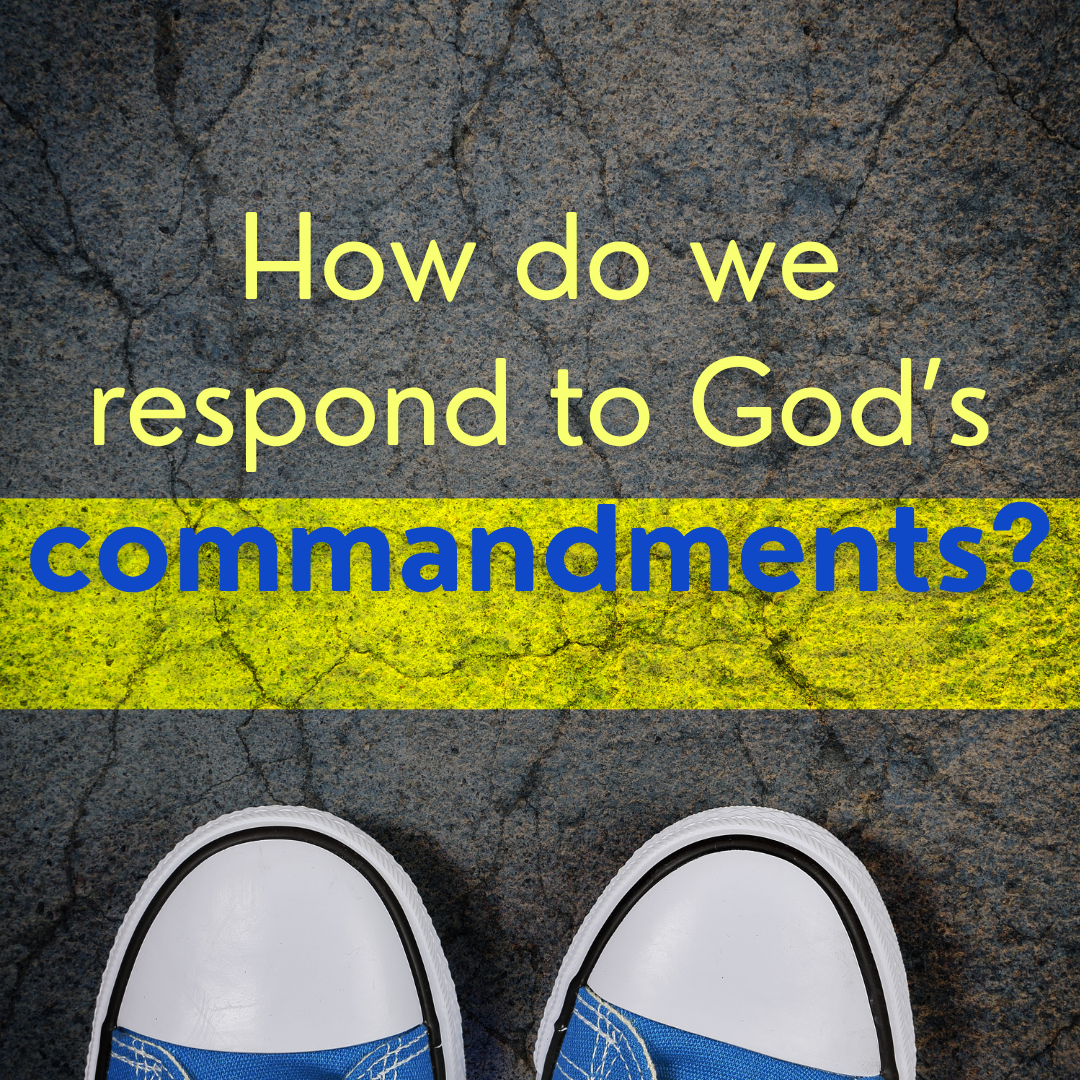 Blog Images (17)