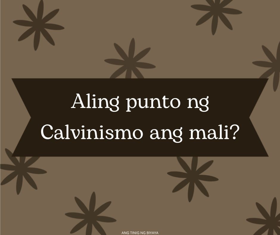 ang suliranin ng calvinista
