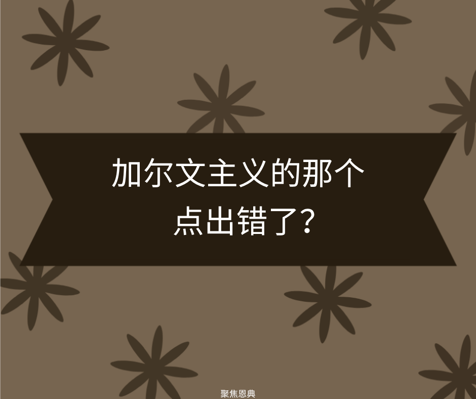 加尔文主义者的两难困境
